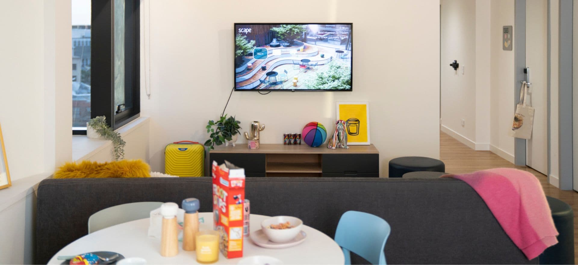 Shared Apartment