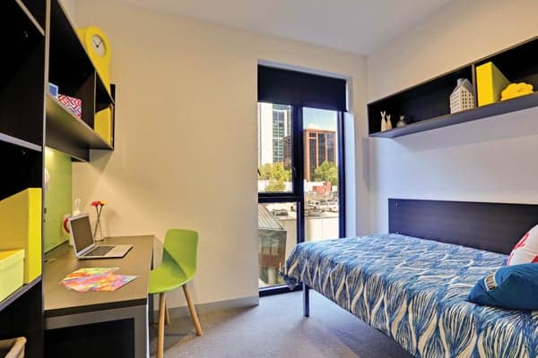 Shared Apartment