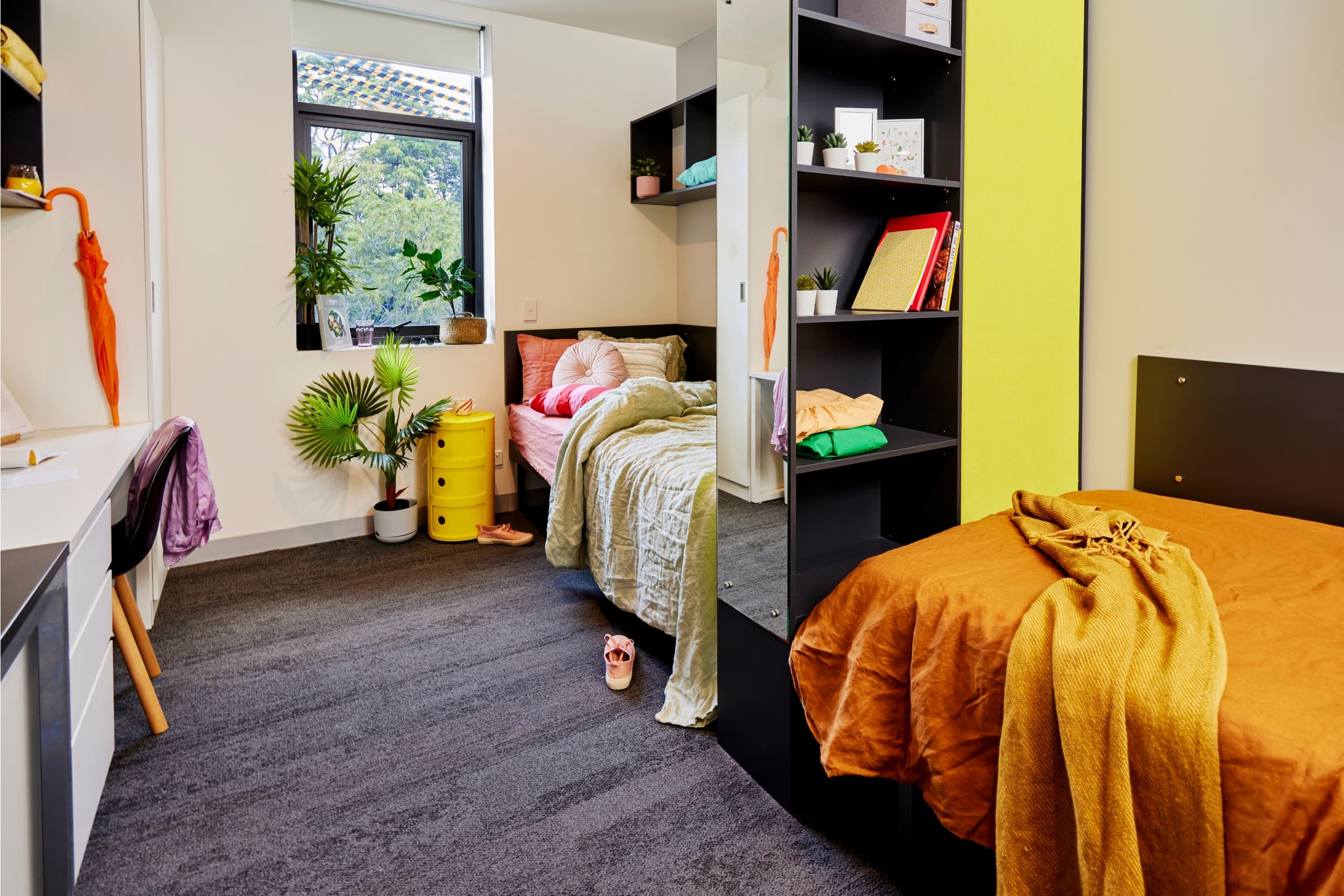 Room 5