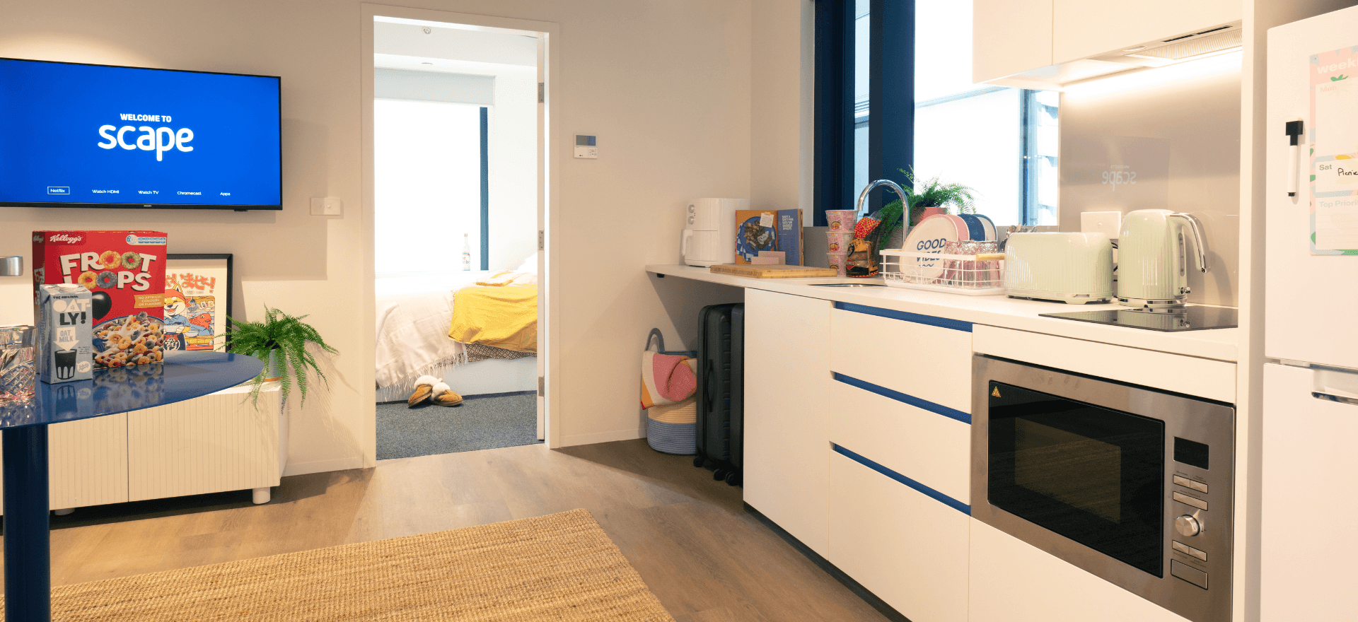 1 Bed Suite